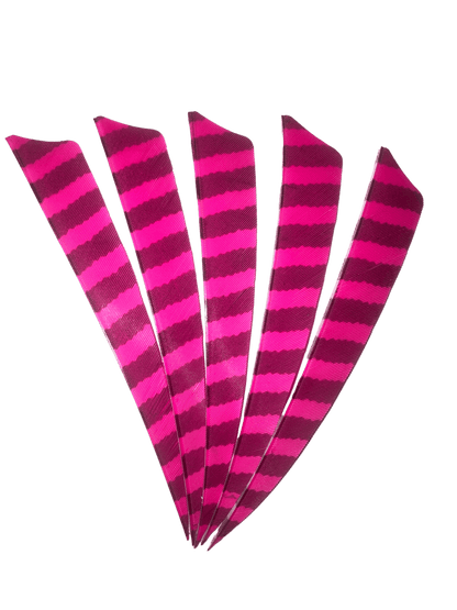 Badass Archery Barred Right Wing Feathers - 36 Pack