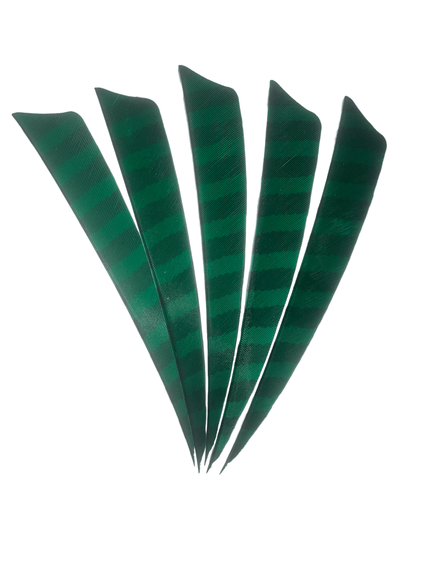 Badass Archery Barred Right Wing Feathers - 36 Pack
