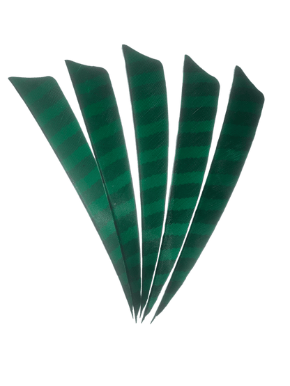 Badass Archery Barred Right Wing Feathers - 36 Pack