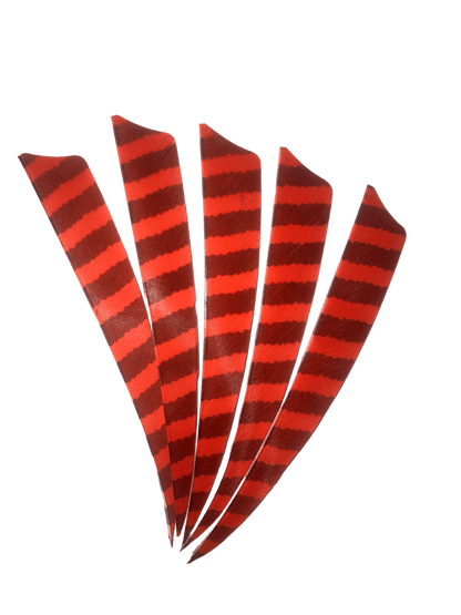 Badass Archery Barred Right Wing Feathers - 36 Pack