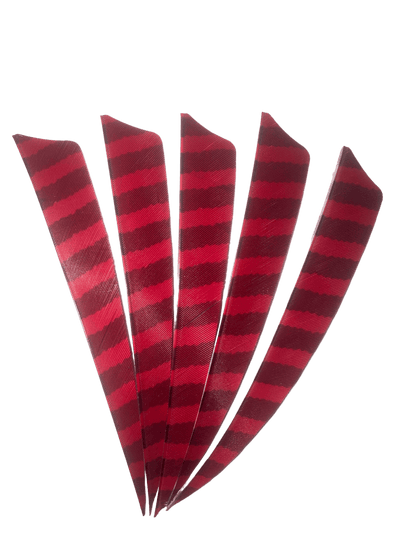 Badass Archery Barred Right Wing Feathers - 36 Pack