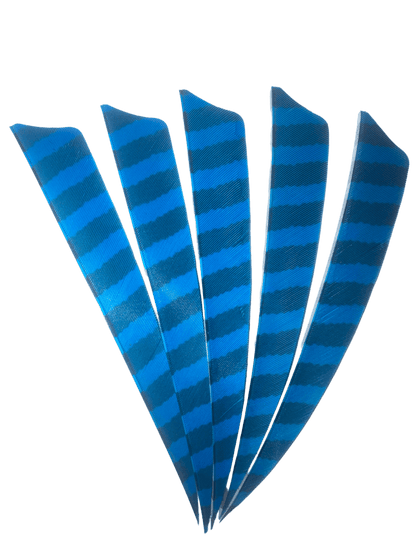 Badass Archery Barred Right Wing Feathers - 36 Pack