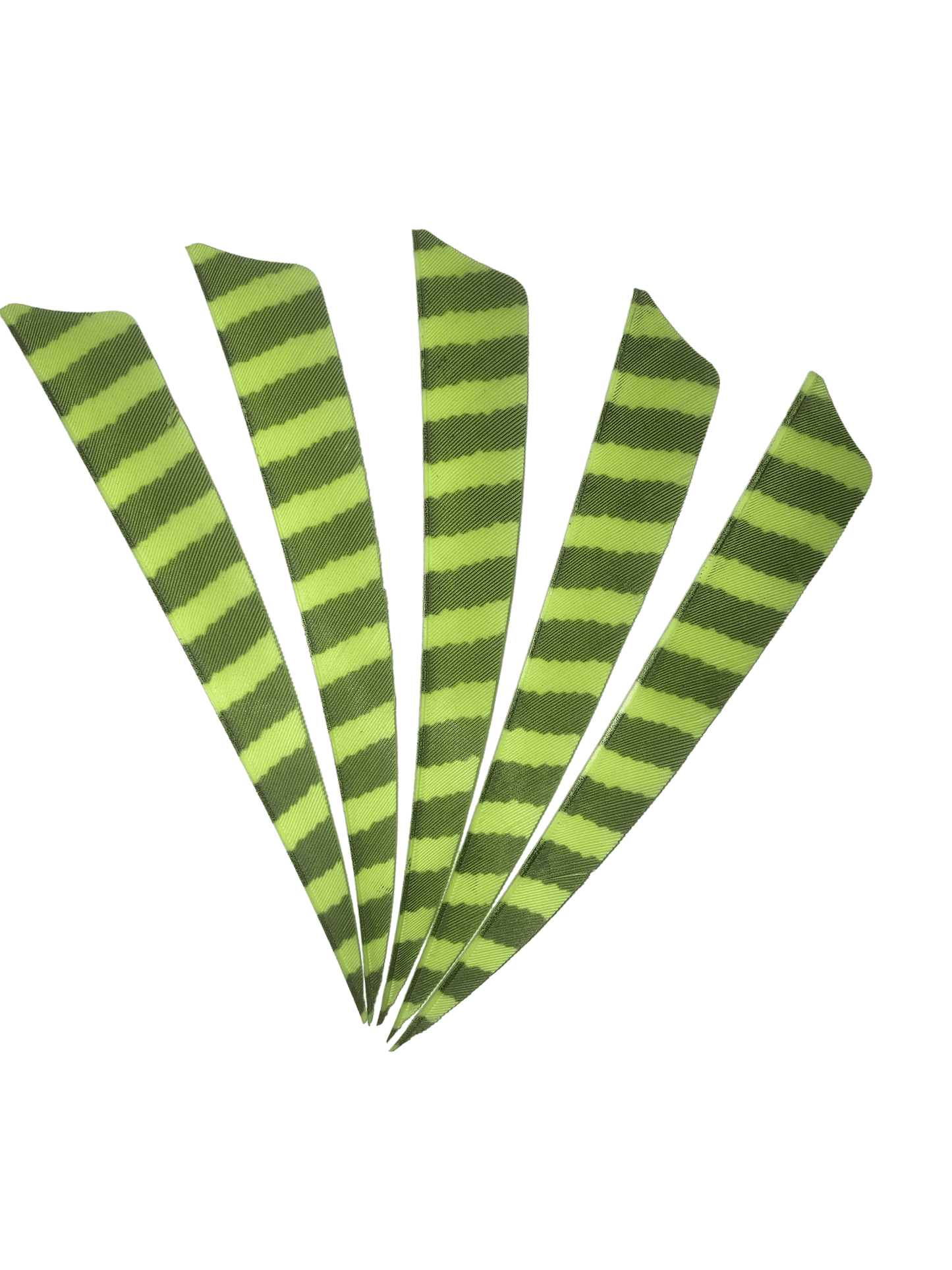 Badass Archery Barred Right Wing Feathers - 36 Pack