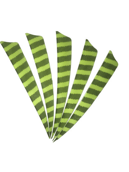 Badass Archery Barred Right Wing Feathers - 36 Pack